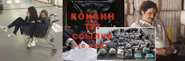 тгк Алексин