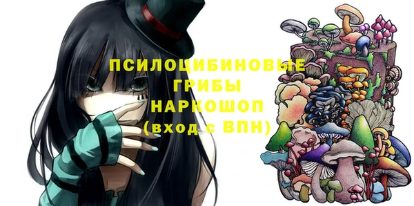 ПСИЛОЦИБИНОВЫЕ ГРИБЫ Алзамай