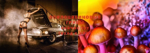 ПСИЛОЦИБИНОВЫЕ ГРИБЫ Алзамай