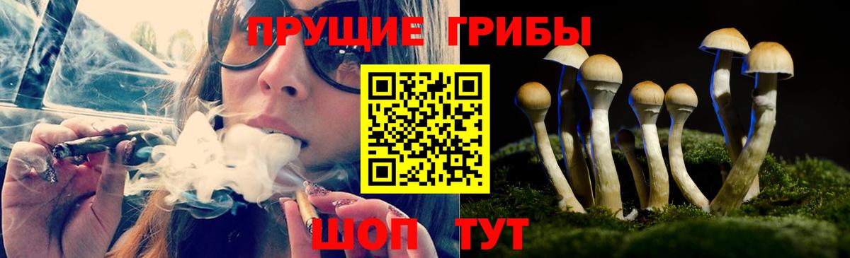Галлюциногенные грибы мицелий  где можно купить наркотик  Клин  Вход с VPN 